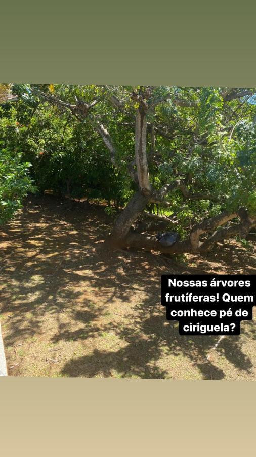 Casa Renascer Βίλα Φερνάντο ντε Νορόνια Εξωτερικό φωτογραφία